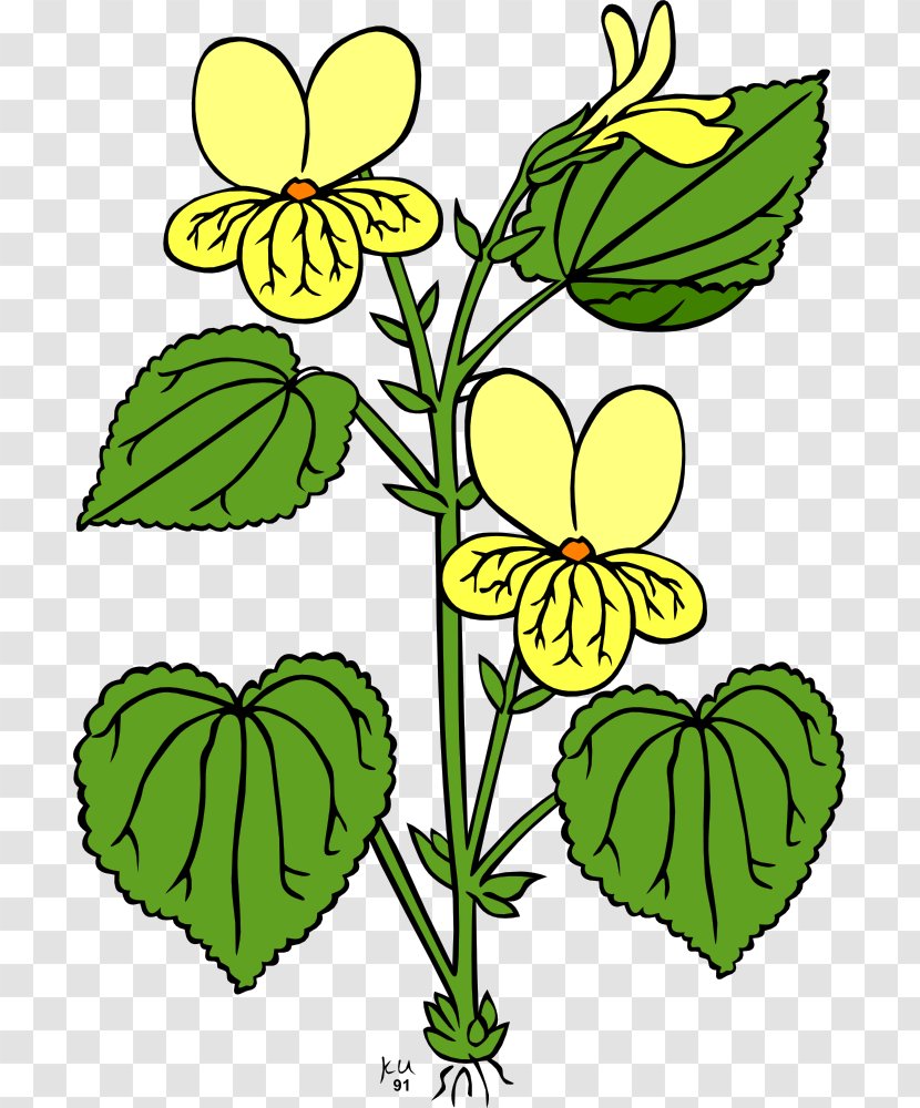 Flowering Plant Clip Art - Branch - Pansy Clipart Transparent PNG