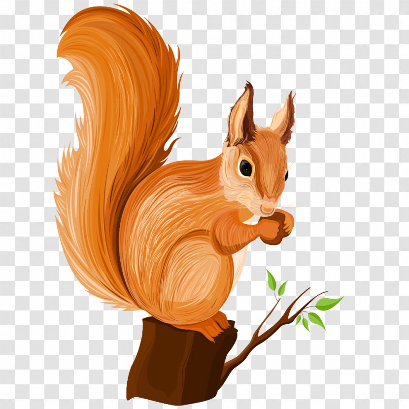 Chipmunk Squirrel Cartoon Illustration - Whiskers Transparent PNG