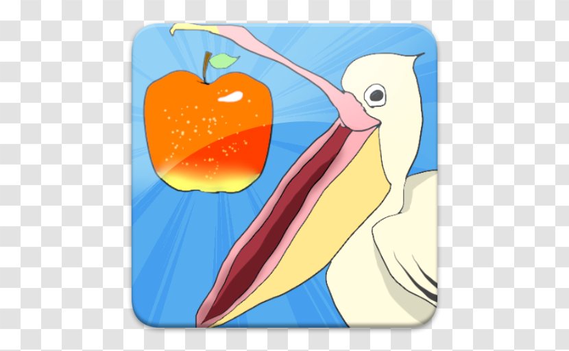Beak Illustration Seabird Cartoon Transparent PNG