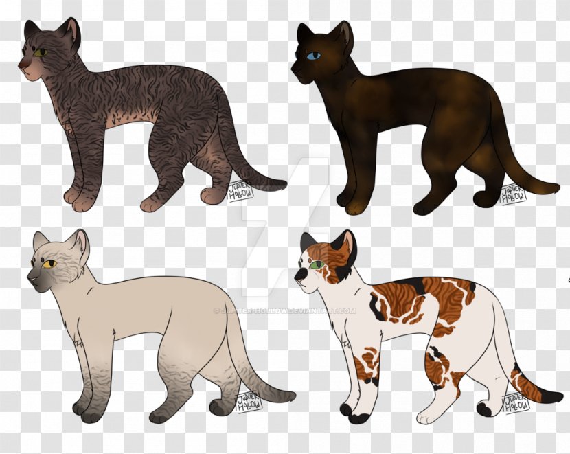 Whiskers Wildcat Dog Breed - Animal - Cat Transparent PNG