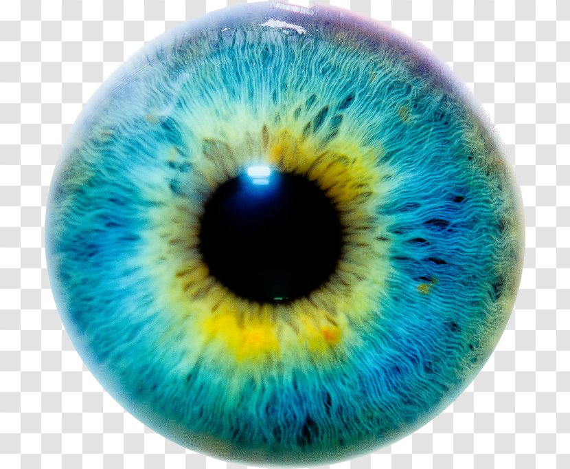 Eye Color Iris Human - Watercolor Transparent PNG