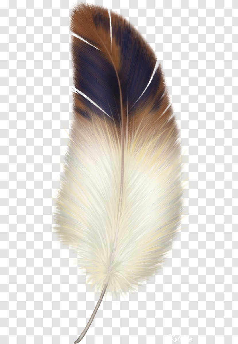 Bird Feather Clip Art - Image File Formats - Watercolor Transparent PNG