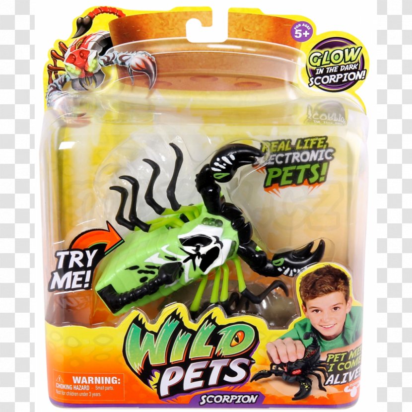 Toy Scorpion Pet Amazon.com Game - King Jouet - Toys Transparent PNG