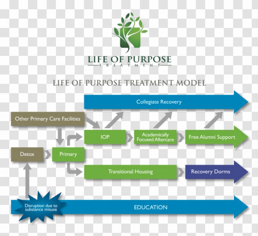 Drug Rehabilitation Therapy Health Care Life Of Purpose Treatment Residential Center Transparent PNG