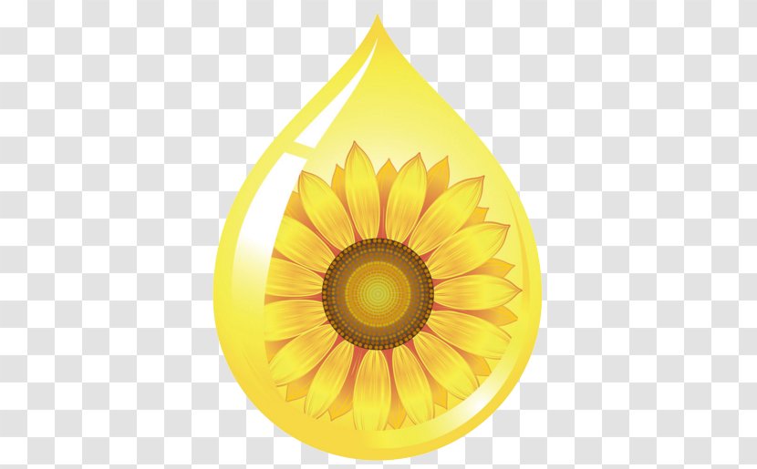 Common Sunflower Oil Seed - Produce - Creative Transparent PNG