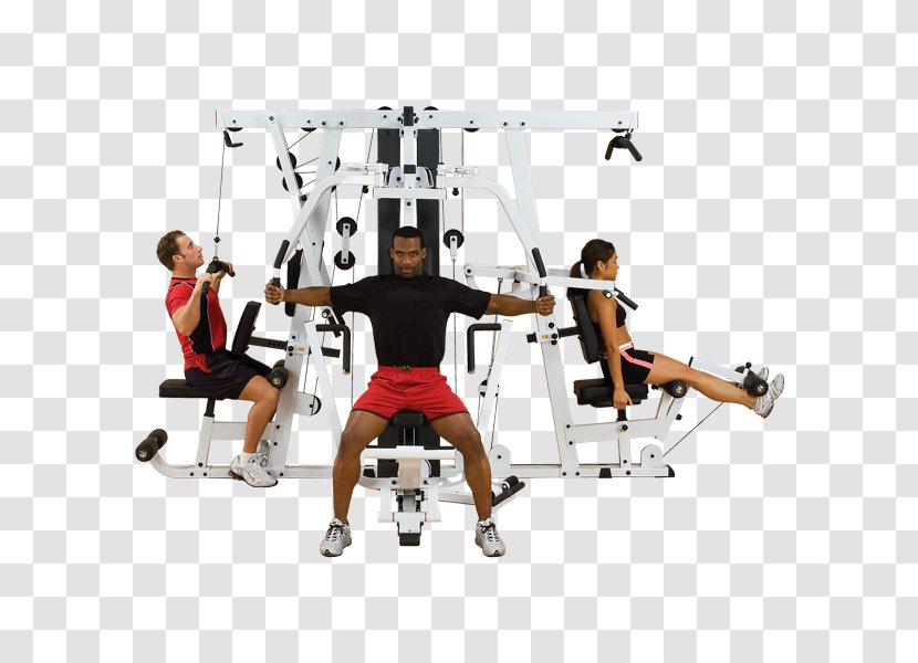 Exercise Equipment Fitness Centre Bench Physical - Strength - Gymnastics Transparent PNG
