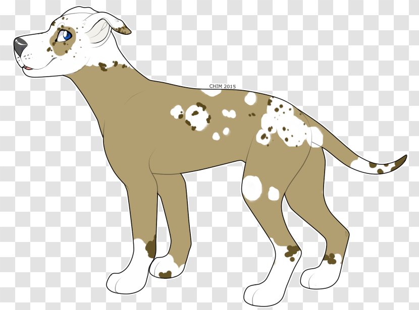 Dog Breed Whippet Italian Greyhound Cat Transparent PNG