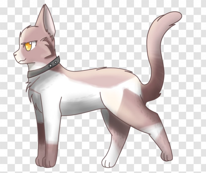 Whiskers Kitten Domestic Short-haired Cat Dog - Tail Transparent PNG