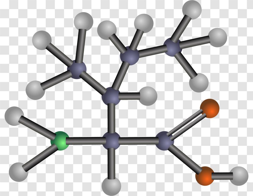 Essential Amino Acid Amine Clip Art - Chemistry - Cliparts Transparent PNG