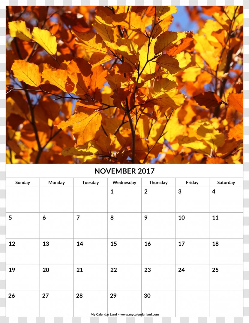 Autumn Tree Leaf Winter - Crown - April Calendar Transparent PNG