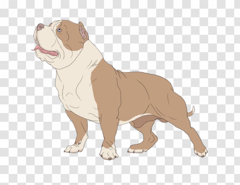 Dorset Olde Tyme Bulldogge English Toy Bulldog Dog Breed - Breeds - Physical Bullying Charts And Graphs Transparent PNG