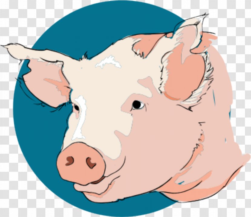 Domestic Pig Grishuvud Clip Art - Artwork - Bee Line Transparent PNG