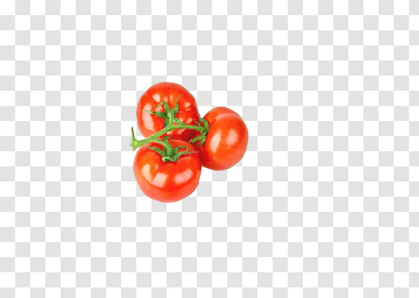 Vegetable Fruit Tomato Organic Food - Produce Transparent PNG
