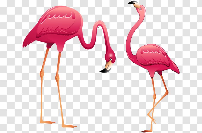 Flamingo Clip Art - Psychedelic Transparent PNG