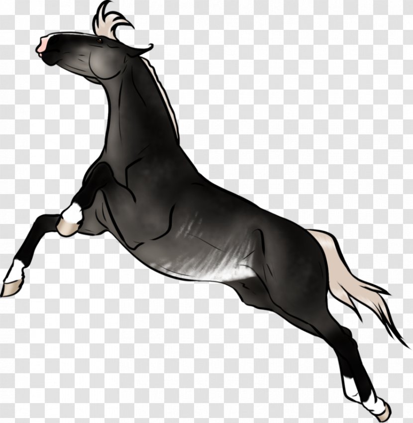 Mustang Pony Stallion Rein Pack Animal - Tail - Forbidden Transparent PNG