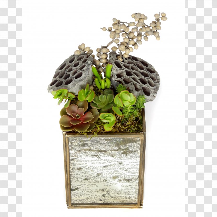 Luludi Living Art Houseplant Succulent Plant Lantern Glass - Ahalife Transparent PNG