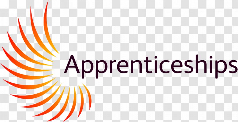 Leicester College Apprenticeship Levy Lowestoft National Service - Higher Education Transparent PNG