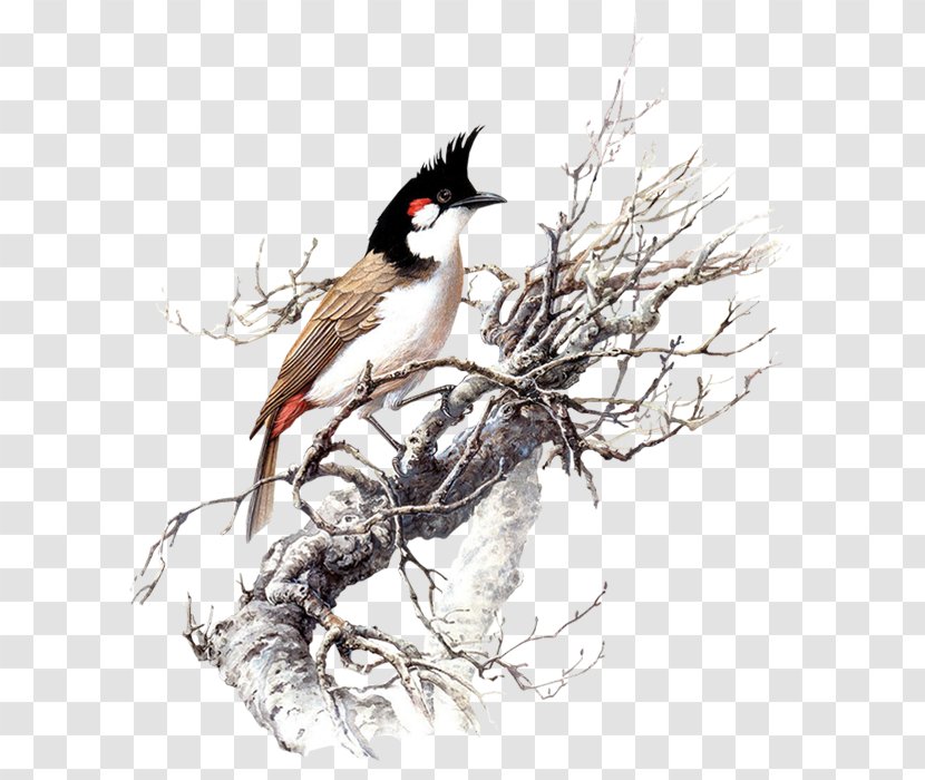 Winter Birds - Tree - Flower Transparent PNG