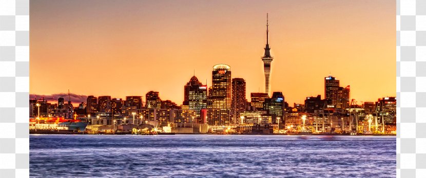 Auckland International Student Kiwi New Zealanders - Study Abroad Transparent PNG