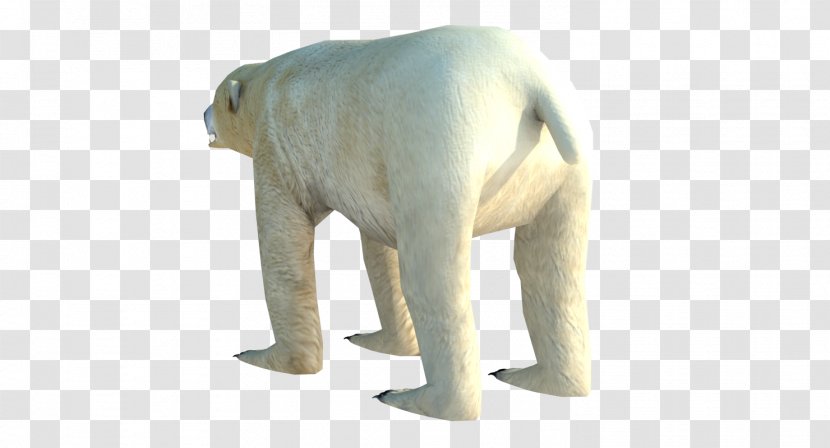 Polar Bear Indian Elephant Low Poly 3D Computer Graphics Transparent PNG