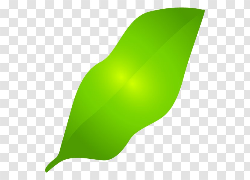 Leaf Product Design Graphics - Grass - Plant Transparent PNG