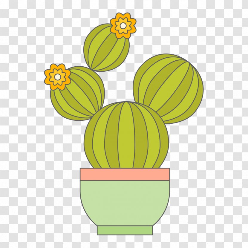Cactaceae Euclidean Vector Drawing - Flowering Plant - Cactus Material Transparent PNG