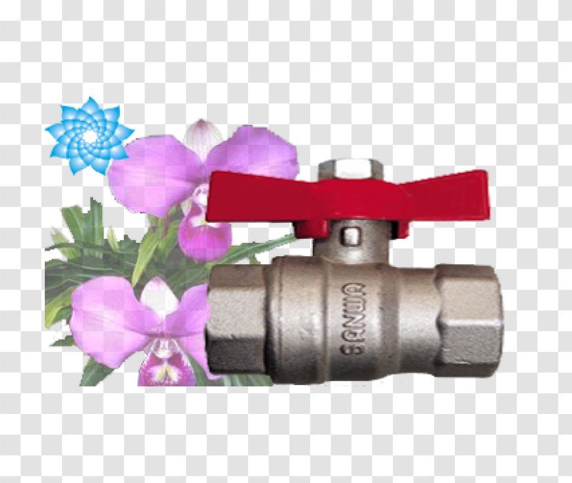 Ball Valve Check Cast Iron Stainless Steel - Industry - Water Transparent PNG
