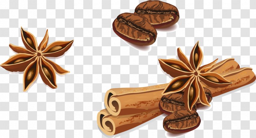 Star Anise Cinnamon - Product Design - Vector Hand-painted Transparent PNG