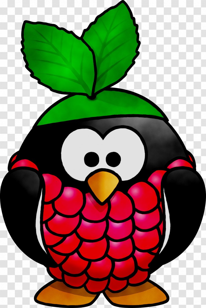 Clip Art Beak Fruit Raspberry Pi - Green - Bird Transparent PNG