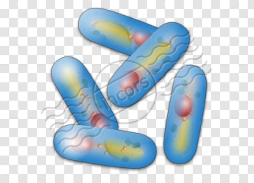 Clip Art Microbiology Bacteria Biology Clipart - Pill - Kingdom Transparent PNG