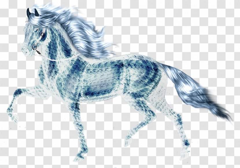 Mustang Piebald Stallion Mane Pony - Dragon - Fire Horse Transparent PNG
