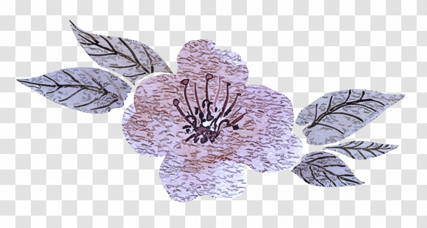 Lavender Transparent PNG