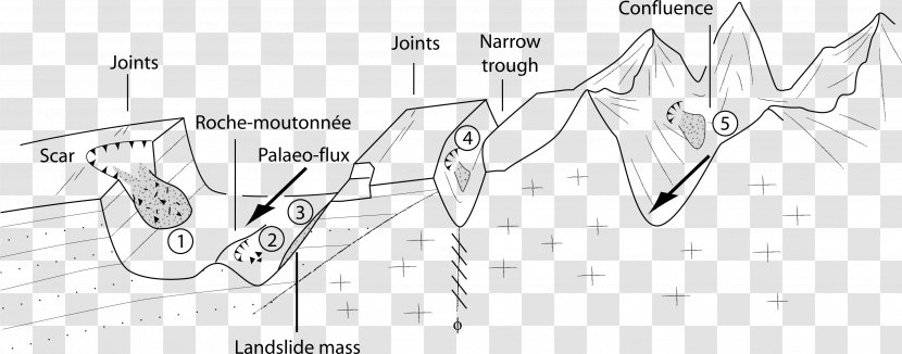 Line Art Mammal Paper Sketch - Cartoon - Northern Italy Map Transparent PNG