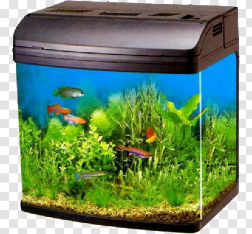 Moscow Aquarium Filter Pet Shop Liter - Fish Tank Transparent PNG