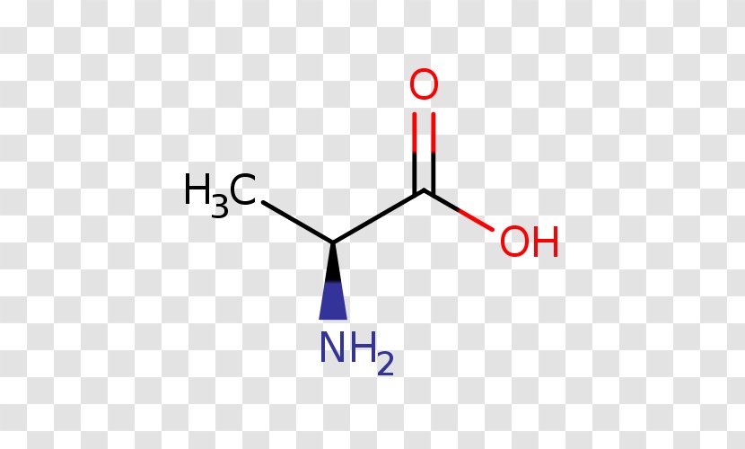 Lactic Acid Alanine Butyric Amino - Organic - Chebi Transparent PNG