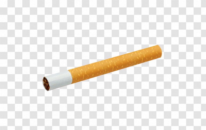 Cigarette - Tree - Tobacco Transparent PNG