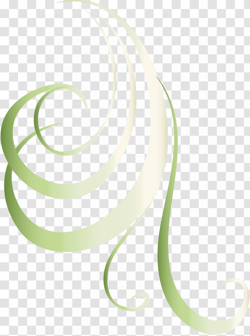 Circle Line Spiral - Elements Transparent PNG