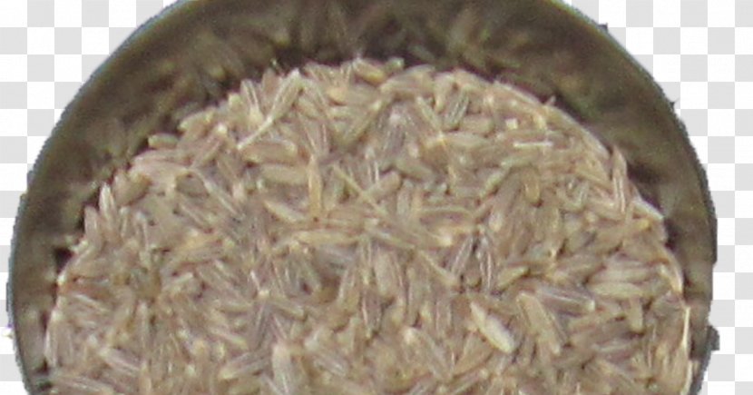 Indian Cuisine Herb Coriander Spice Garam Masala - Commodity - Khana Transparent PNG