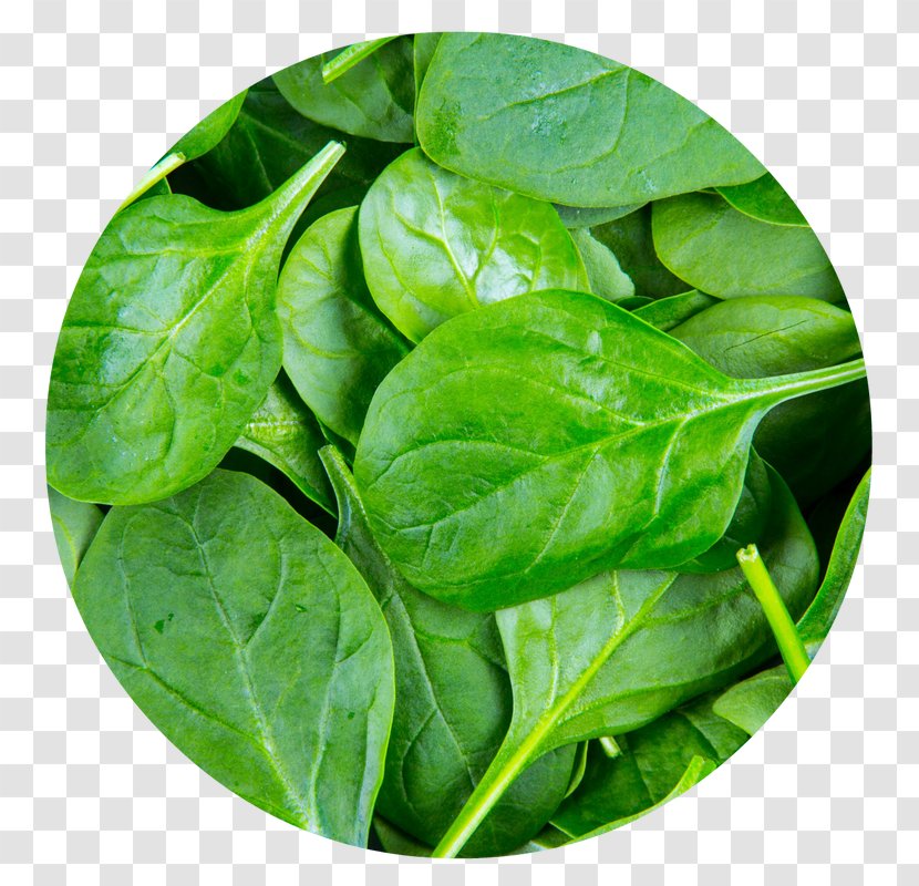 Spinach Pakora Leaf Vegetable Palak Paneer - Recipe Transparent PNG