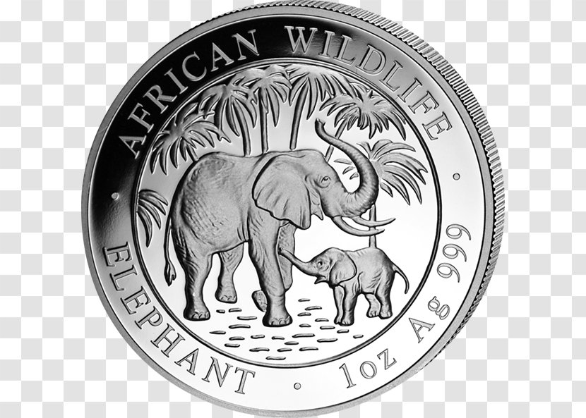 Silver Coin African Elephant Indian Somalia Transparent PNG