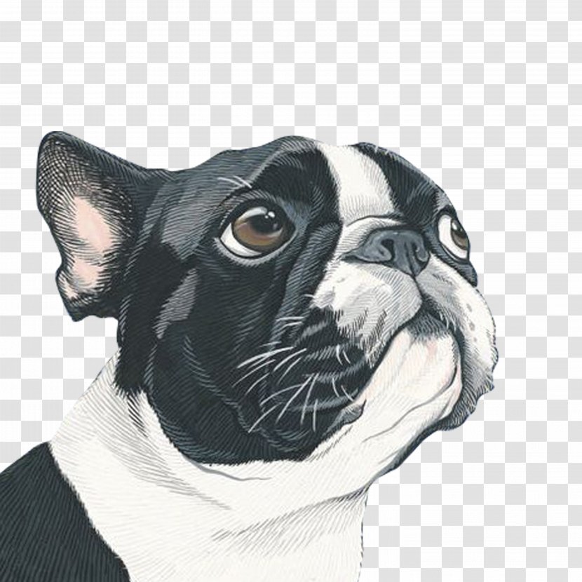 Dog Portrait Painting Art Illustration - Pug Transparent PNG