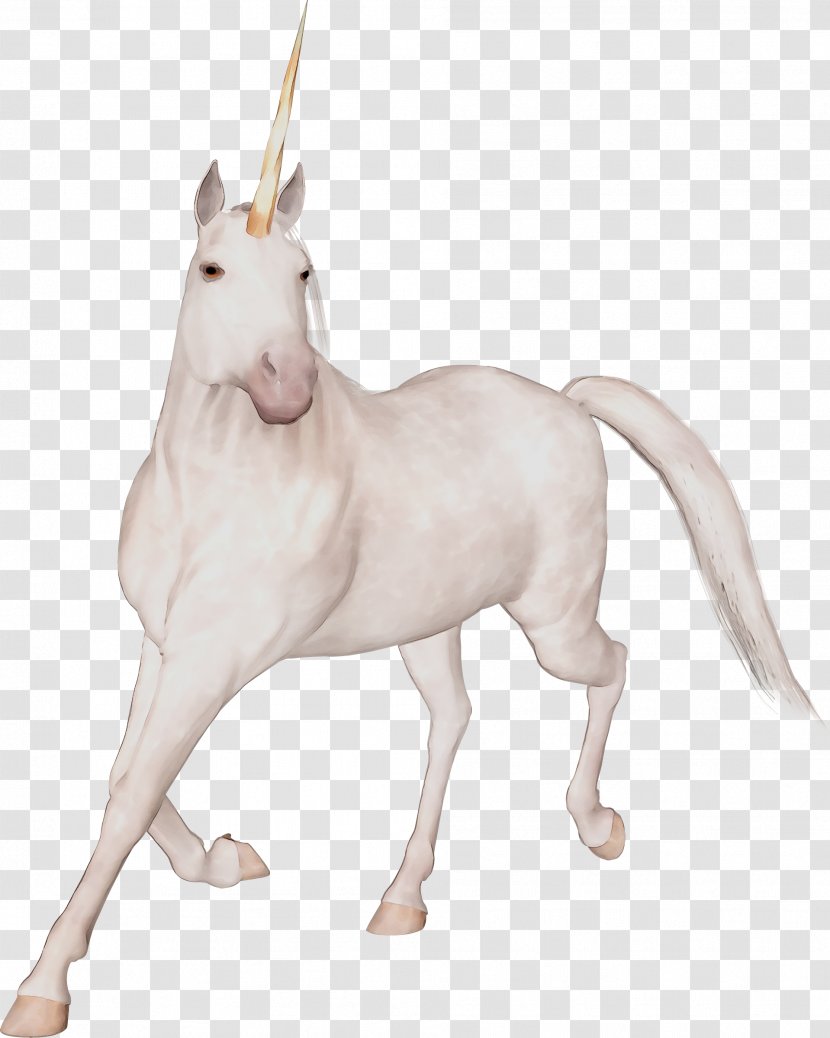 Unicorn Image Clip Art Vector Graphics - Fictional Character - Mustang Transparent PNG
