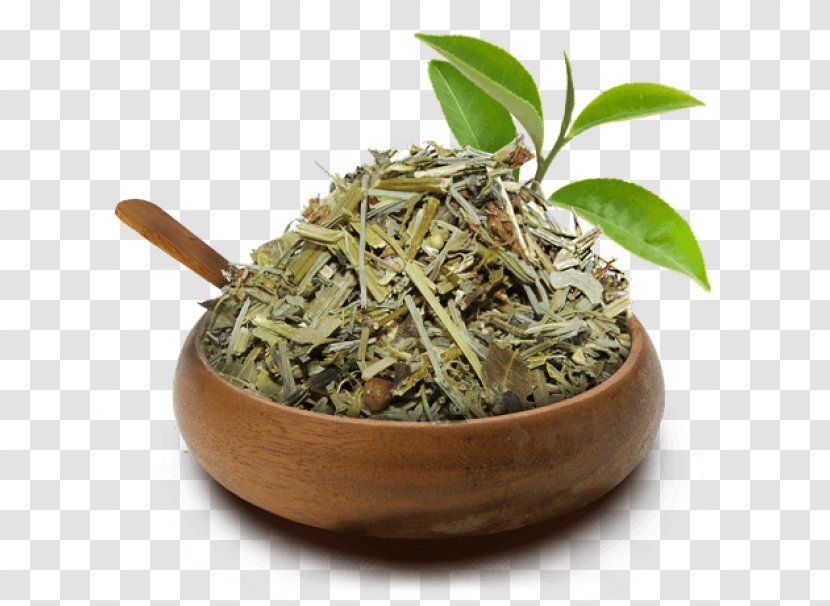 Hibiscus Tea Hōjicha Green Equisetum - Longjing - Cha Transparent PNG