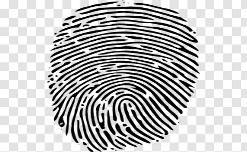 Fingerprint Clip Art - Finger - Toe Transparent PNG