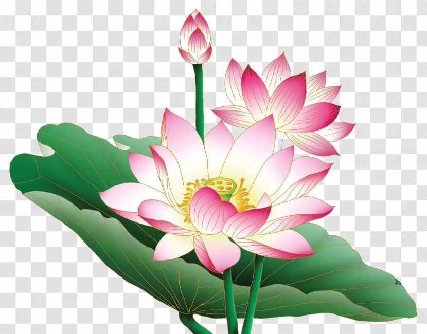 Painting Work Of Art - Flowering Plant - Lotus Bud Transparent PNG
