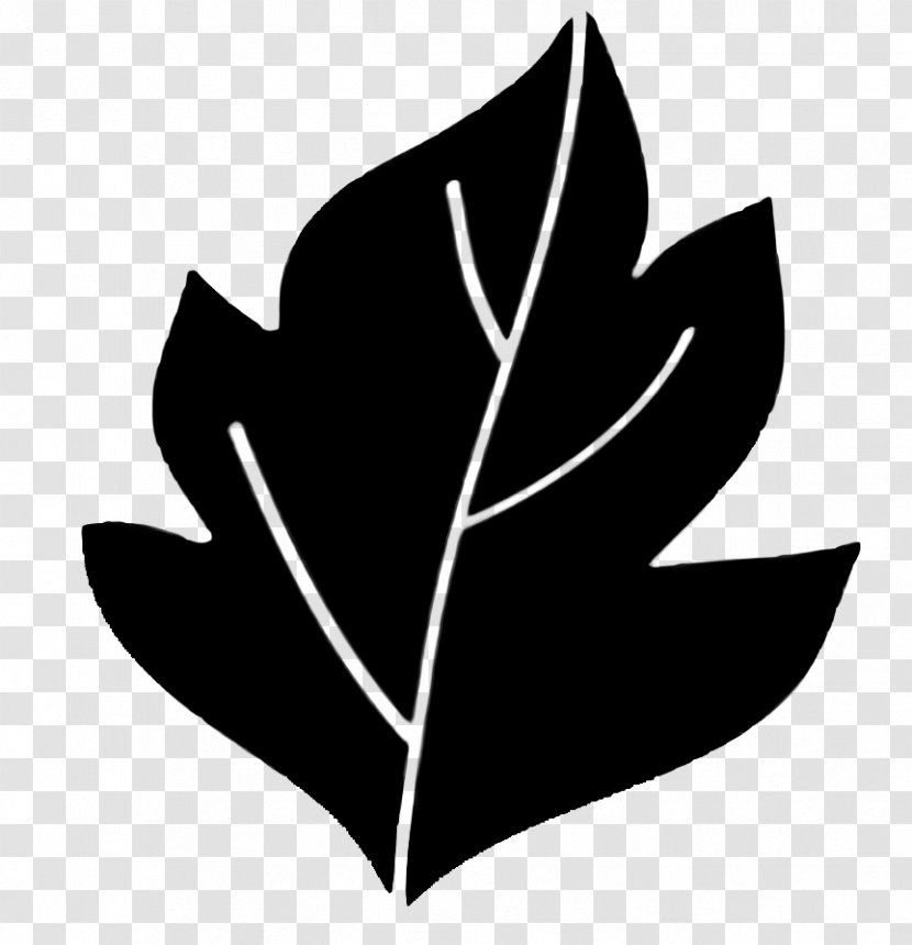 Flower Logo - Leaf - Plant Transparent PNG