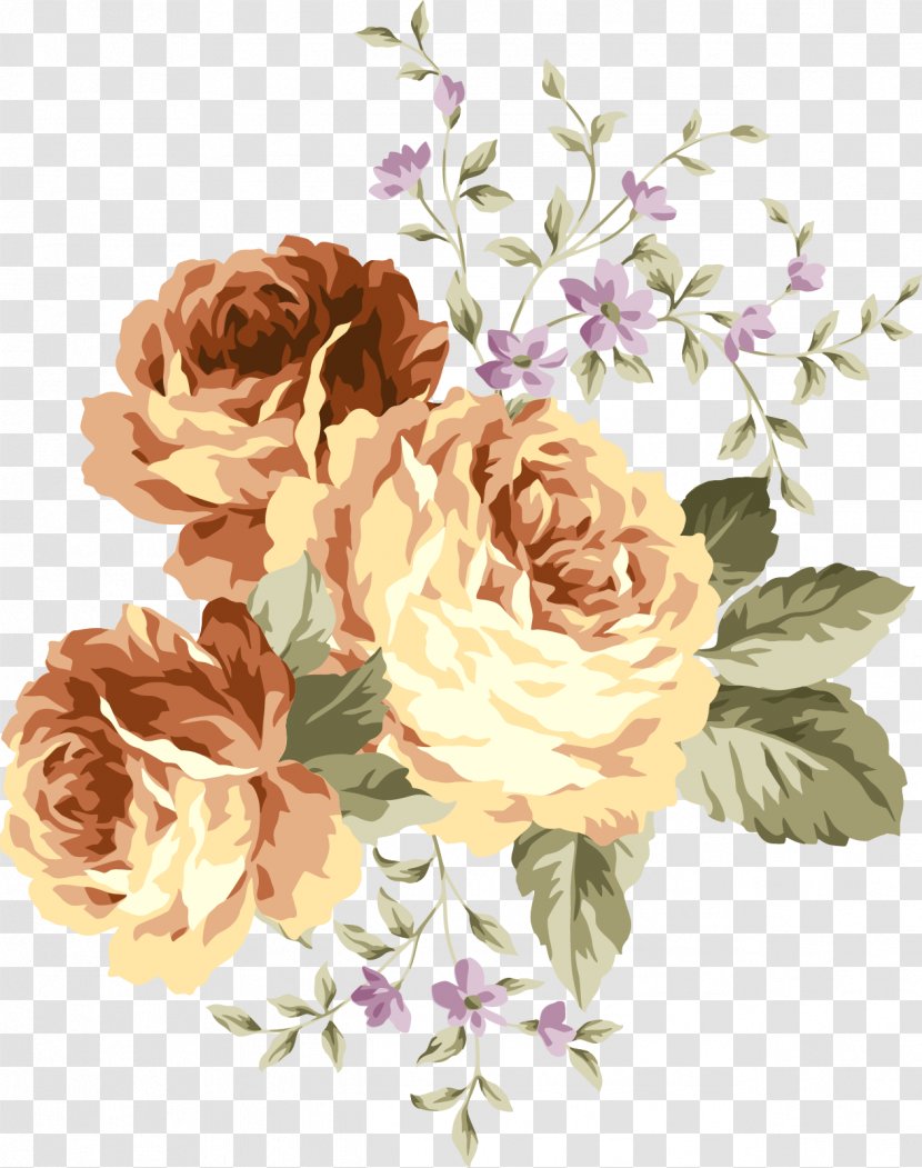 Centifolia Roses Flower Euclidean Vector - Cut Flowers - Pattern Elements Transparent PNG