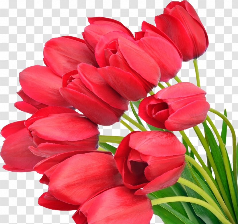 Tulip Flower Bouquet Clip Art Transparent PNG