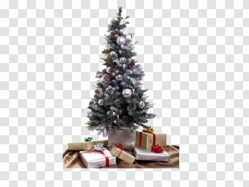 Santa Claus Christmas Tree Gift - Holiday Transparent PNG