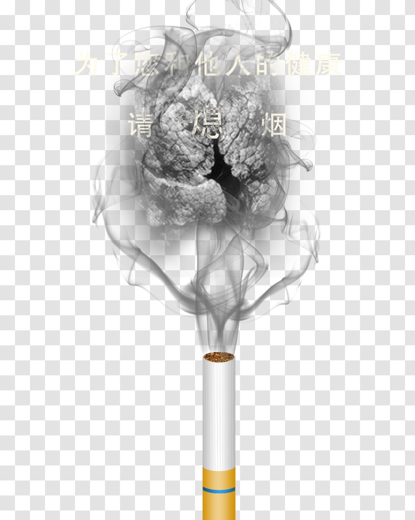 Smoking Ban Lung Cessation - Cartoon - For Others, Please Put Out Cigarettes Transparent PNG